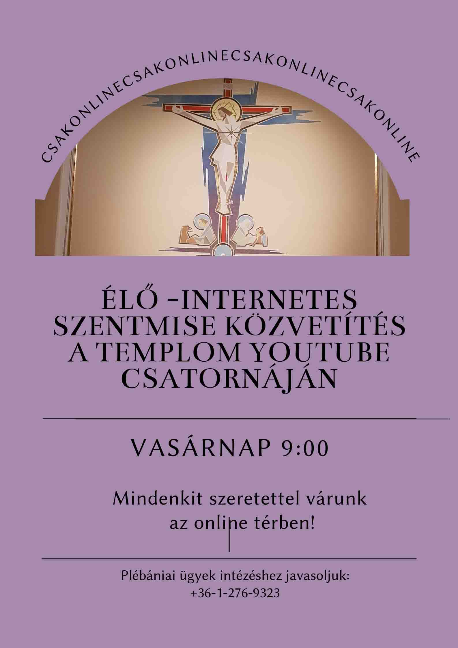 Mise Közvetítés